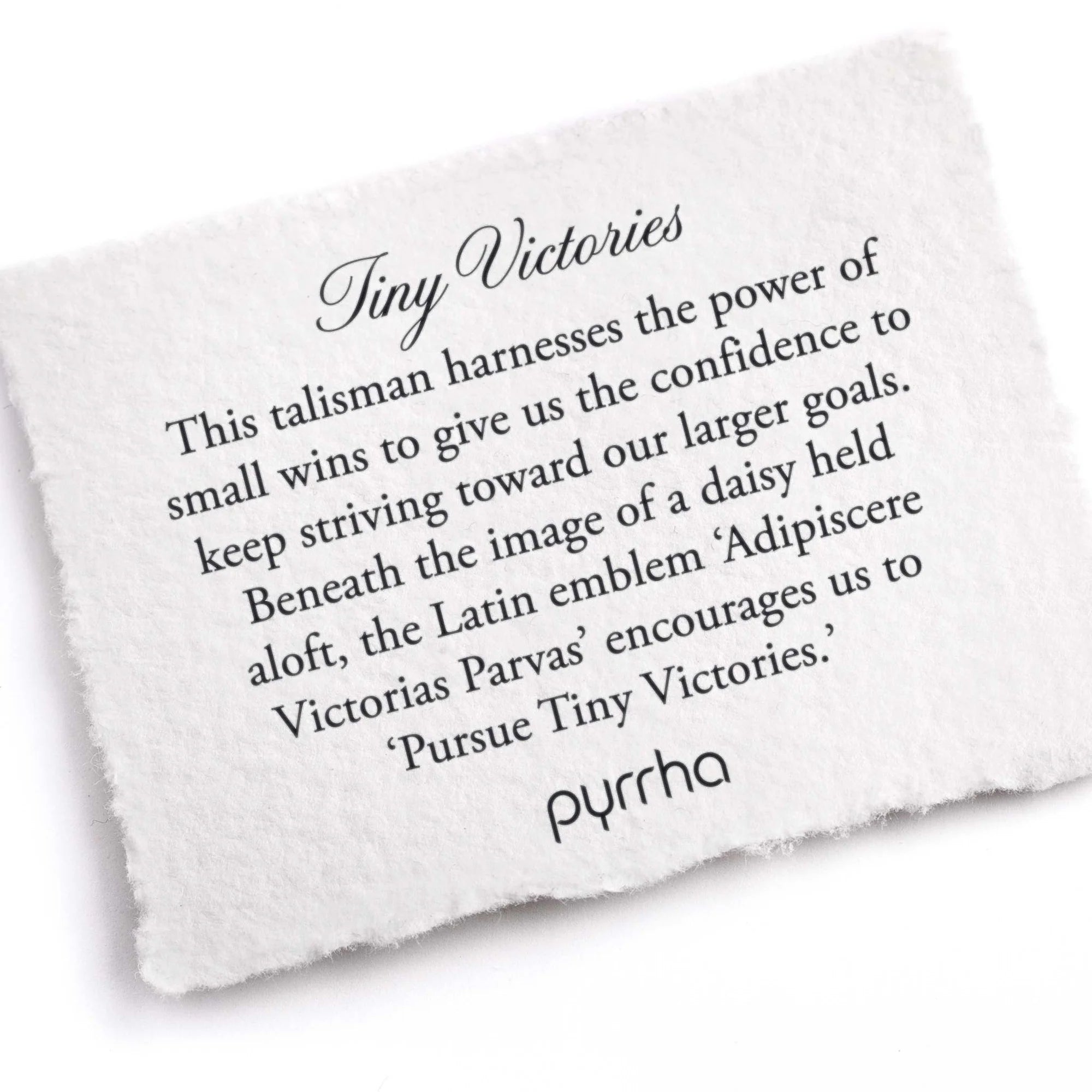 Pyrrha Sterling Silver "Tiny Victories" Talisman 20" Oxidized Fine Curb Chain Necklace