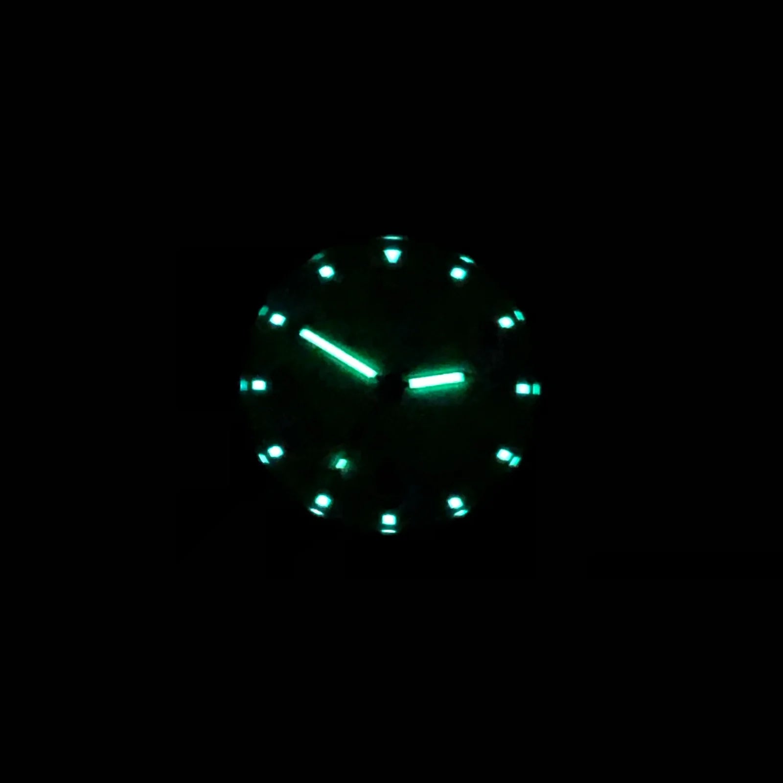 Bertucci DX3 Canvas Saguaro Evergreen 40mm Ref. 11093