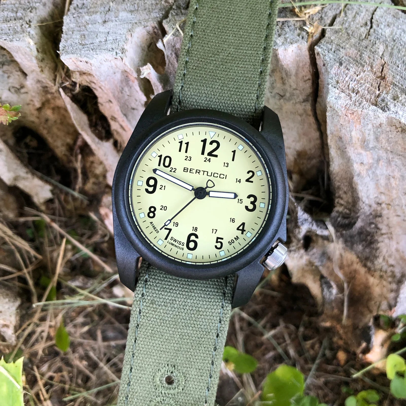 Bertucci DX3 Canvas Saguaro Evergreen 40mm Ref. 11093